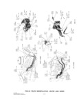 Previous Page - Parts and Accesories Catalog February 1961